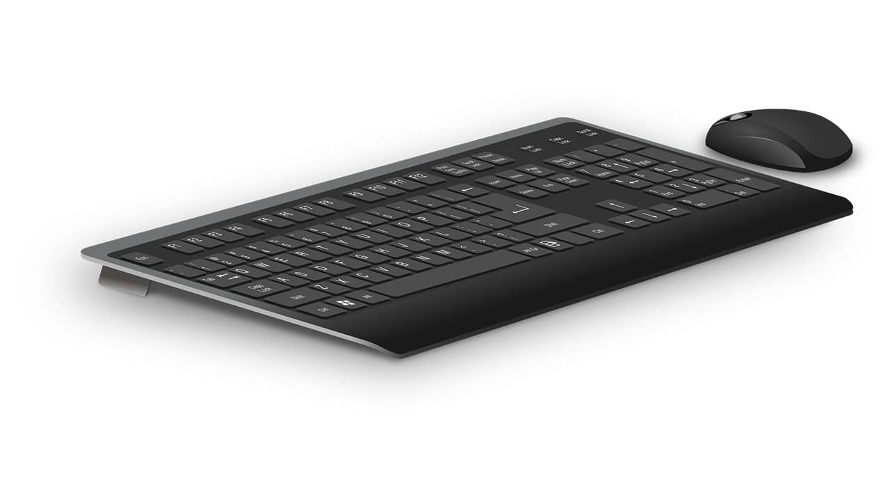 A standard desktop PC keyboard and mouse.